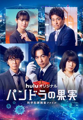 黄石本地网站优化价格